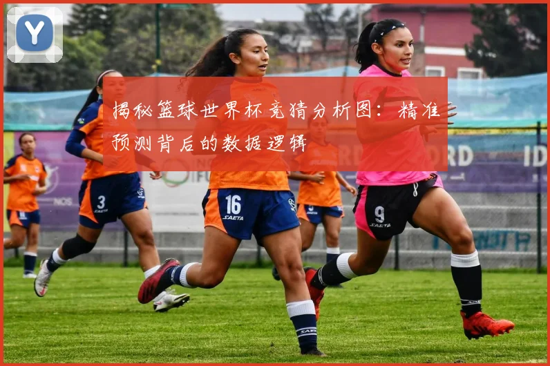 揭秘篮球世界杯竞猜分析图：精准预测背后的数据逻辑