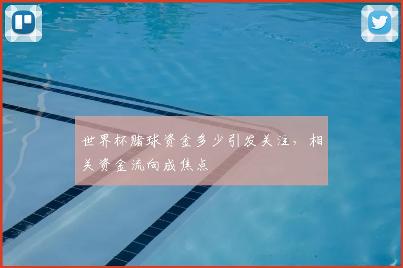世界杯赌球资金多少引发关注，相关资金流向成焦点