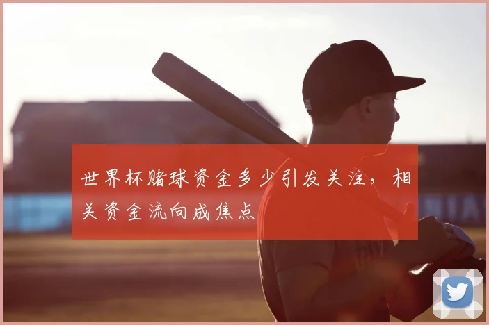 世界杯赌球资金多少引发关注，相关资金流向成焦点