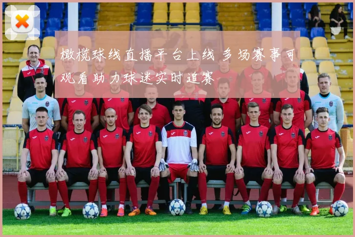 橄榄球线直播平台上线 多场赛事可观看助力球迷实时追赛