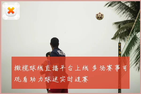 橄榄球线直播平台上线 多场赛事可观看助力球迷实时追赛