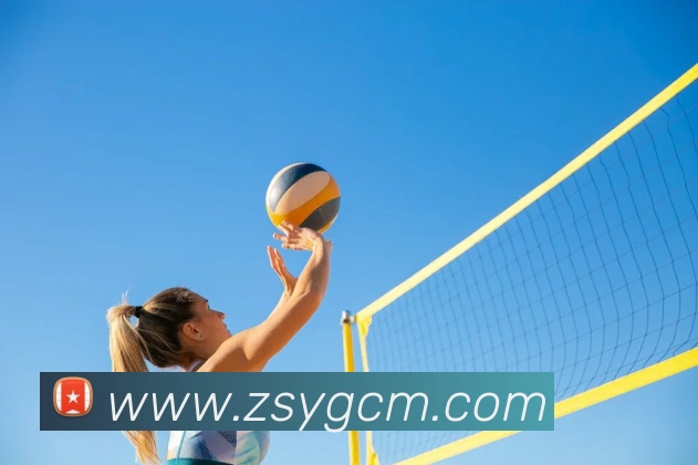 hth体育官网服务体系