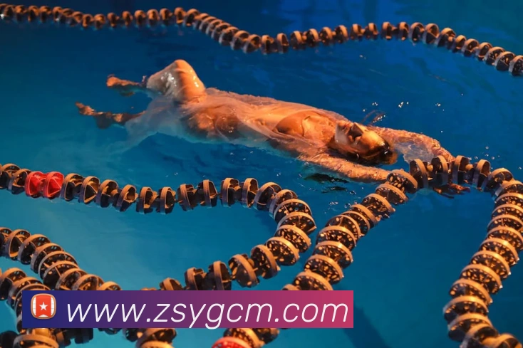 hth体育官网APP 体育赛事宣传图